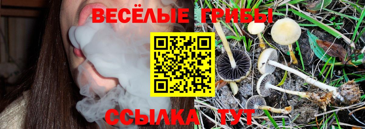 Галлюциногенные грибы Magic Shrooms Серов