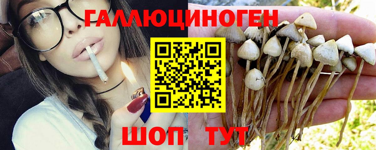 Серов  Галлюциногенные грибы GOLDEN TEACHER  Галлюциногенные грибы Cubensis  Вход с VPN 